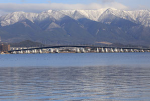 マンスリーコレクション